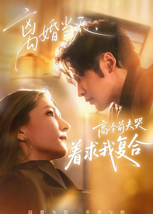 离婚当天，高冷前夫哭着求我复合（77集）剧情简介