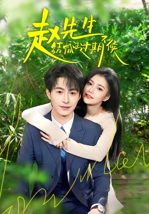 赵先生结婚证过期不候（50集）短剧太上头了