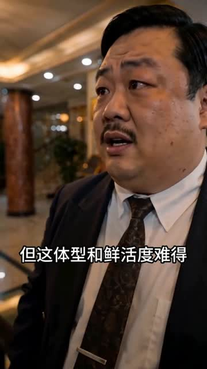 李游赶海之重回1996（84集）经典老剧免费看