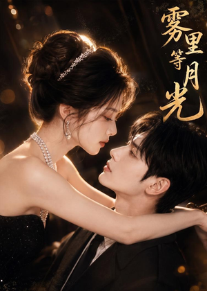 雾里等月光（80集）好看短剧抢先看
