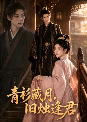 青衫藏月,旧烛逢君(56集) 青衫藏月,旧烛逢君(56集)在线免费观影