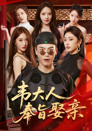 韦大人奉旨娶亲（81集）短剧免费观看