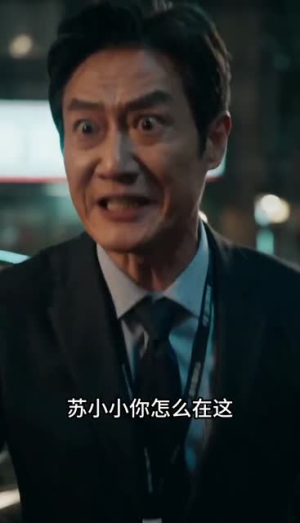 顾总的暖心特助（35集）最火的短剧
