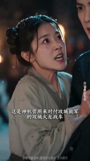 满级宫女的退休计划（40集）分享好看的短剧