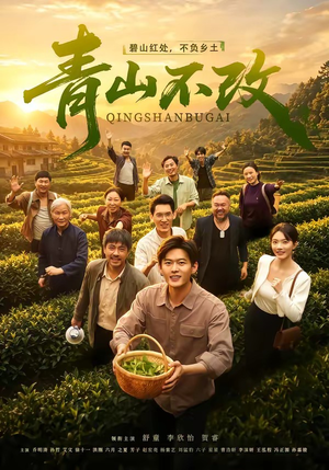 青山不改（71集）全集一网打尽