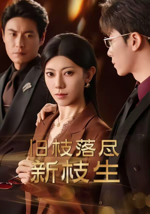 旧枝落尽新枝生（60集）经典老剧免费看