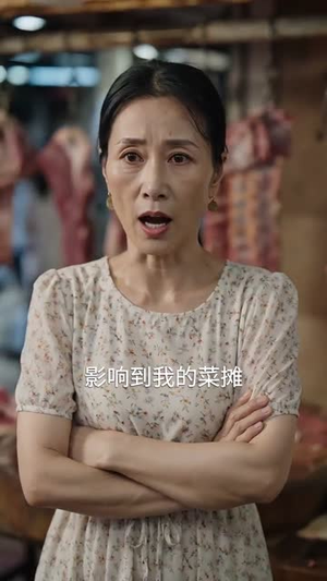 天上掉下来个林先生(50集) 天上掉下来个林先生(50集)番茄免费短剧