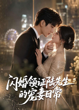 闪婚领证陆先生的宠妻日常（72集）免费短剧看不停