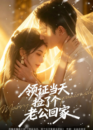 领证当天，捡了个老公回家（80集）无需会员轻松看
