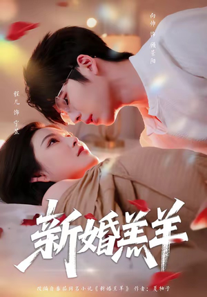 新婚羔羊（89集）去哪里看