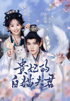 贵妃的白猫夫君（81集）全网短剧抢先看