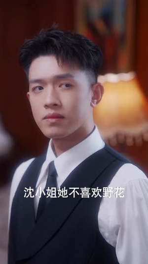 少帅，少夫人她换芯归来（74集）解说文案