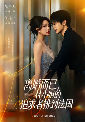 离婚而已,林小姐的追求者排到法国(79集) 离婚而已,林小姐的追求者排到法国(79集)网盘在线观看