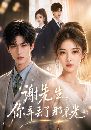 谢先生，你弄丢了那束光（43集）在线看免费版