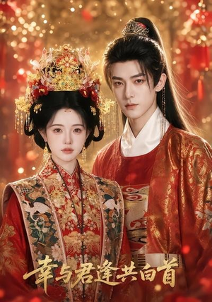 幸与君逢共白首（79集）真的好看吗