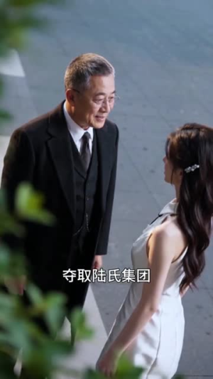霸总的天降娇妻超飒绝(15集) 霸总的天降娇妻超飒绝(15集)网络小短剧