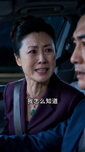 生恩养恩，皆为归途（39集）短剧免费看全集
