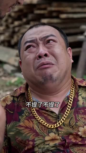 木匠铺藏潜龙(33集) 木匠铺藏潜龙(33集)古装短剧热播