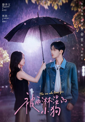 被雨淋湿的小狗(80集) 被雨淋湿的小狗(80集)好看的短剧