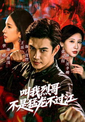 叫我烈哥,不是猛龙不过江(111集) 叫我烈哥,不是猛龙不过江(111集)夸克在线观看