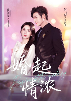 婚起情浓(99集) 婚起情浓(99集)免费版