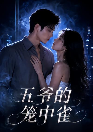 五爷的笼中雀（72集）好看短剧又来了