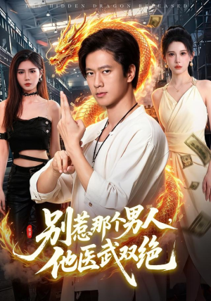 别惹那个男人，他医武双绝（109集）评价怎么样