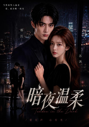 暗夜温柔(25集) 暗夜温柔(25集)短剧太精彩