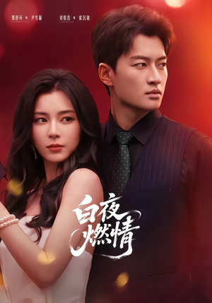 白夜燃情（64集）全集我都看完了