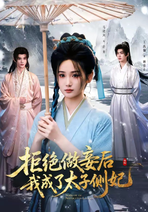 拒绝做妾后我成了太子侧妃＆一纸离人愁（89集）剧情简介