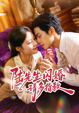 陆先生闪婚请多指教(53集) 陆先生闪婚请多指教(53集)第二季