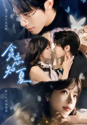 贪恋知夏(60集) 贪恋知夏(60集)在线看