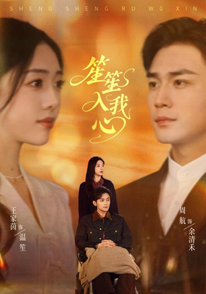 笙笙入我心(90集) 笙笙入我心(90集)免费观看