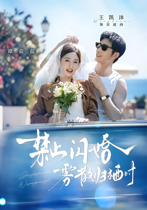 禁止闪婚,雾散归栖时(66集) 禁止闪婚,雾散归栖时(66集)全部免费看全集