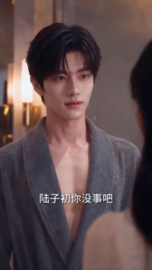 陆先生的心尖宠（76集）大结局太过瘾了