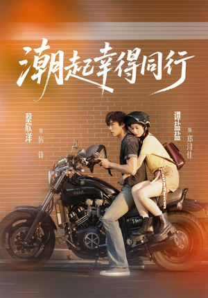 潮起幸得同行（73集）经典回顾免费看