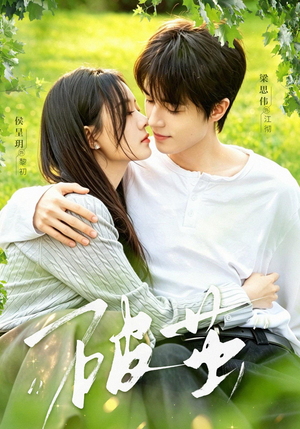 破茧（76集）在哪里可以全集