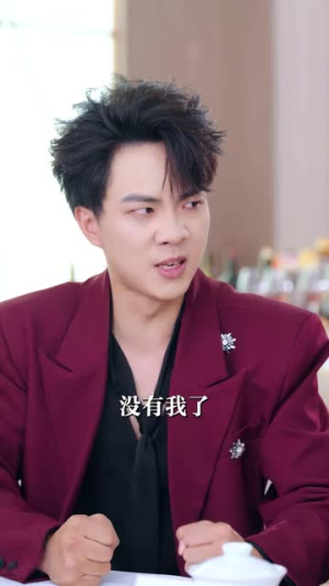 冰山美女的近身傻婿（88集）流畅播放免费看