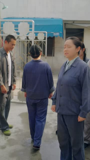 织梦芳华（41集）热门短剧免费看