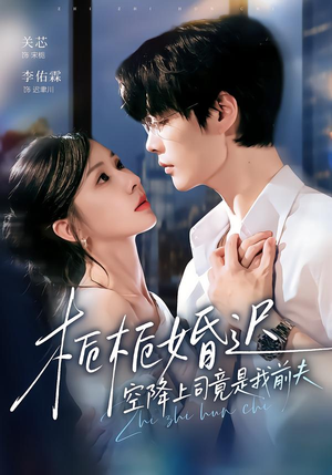 栀栀婚迟，空降上司竟是我前夫（76集）精彩短剧合集