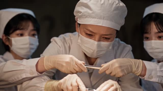相逢在大院第贰季(88集) 相逢在大院第贰季(88集)流畅播放免费看