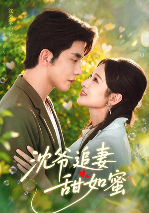 沈爷追妻甜如蜜全集我都看完了