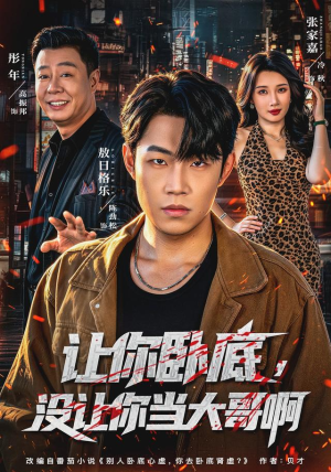 让你卧底,没让你当大哥啊(80 集) 让你卧底,没让你当大哥啊(80 集)短剧演员排行榜