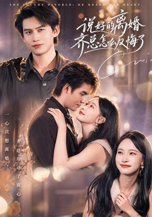 说好的离婚齐总怎么反悔了(40 集) 说好的离婚齐总怎么反悔了(40 集)全集