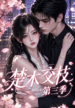 楚木交枝第三季（167集）在线看免费版