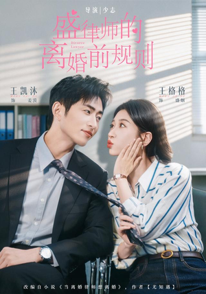 盛律师的离婚前规则（97 集）在哪里可以看