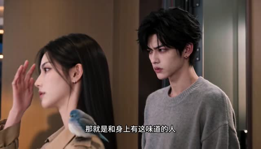 在小说里当男主的医生朋友第二季（60集）全集我都看完了