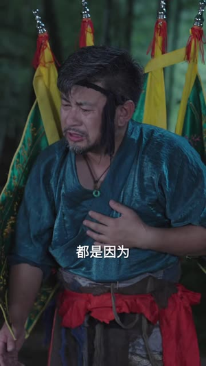虎祸之阴阳双虎（52 集）精彩的网络短剧