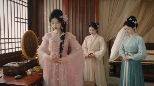 坤仪第一季步步为营篇（215集）好看吗