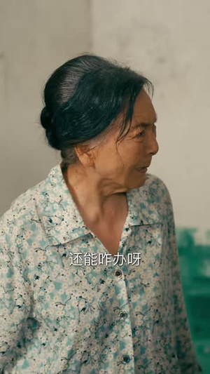误入深山,我无处可逃(65 集) 误入深山,我无处可逃(65 集)好看短剧分享